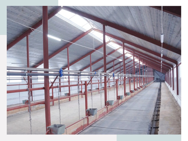 Строительство коровников в Гусе-Хрустальном от 642 руб.