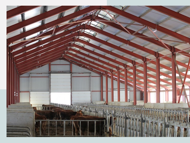 Строительство коровников в Гусе-Хрустальном