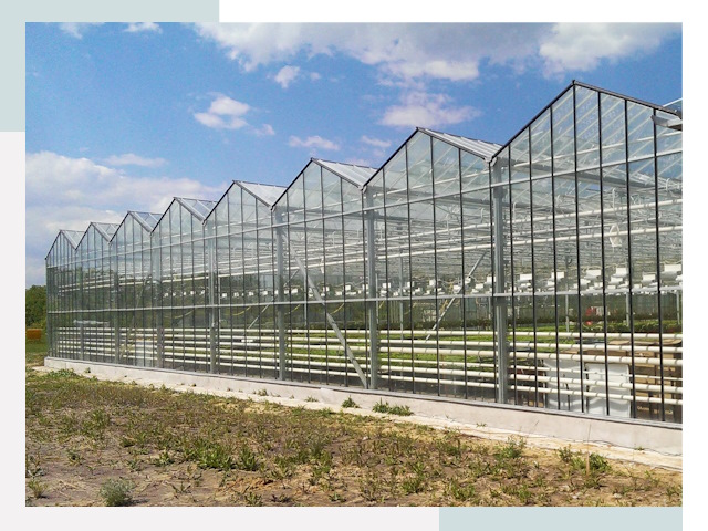 Строительство теплиц в Гусь-Хрустальный от 642 руб. за м²