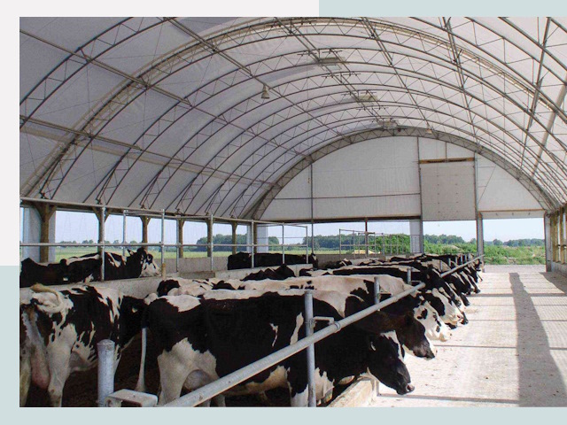 Тентовые коровники в Гусе-Хрустальном